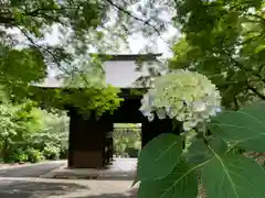 普門寺(切り絵御朱印発祥の寺)(愛知県)