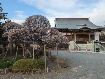 国分寺（相模國分寺）(神奈川県)