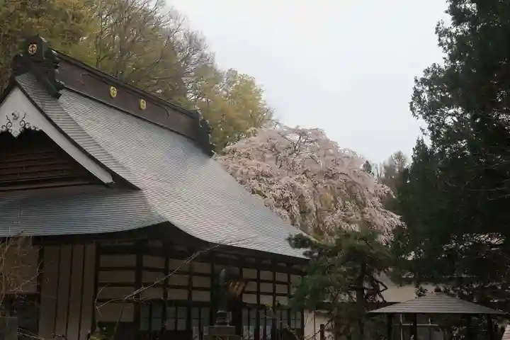 観音寺の本殿・本堂