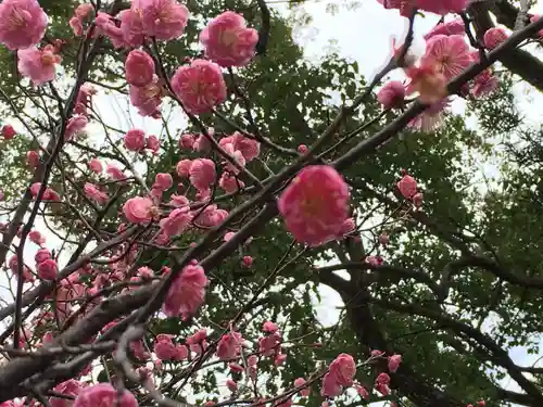 岡田神社(福岡県)