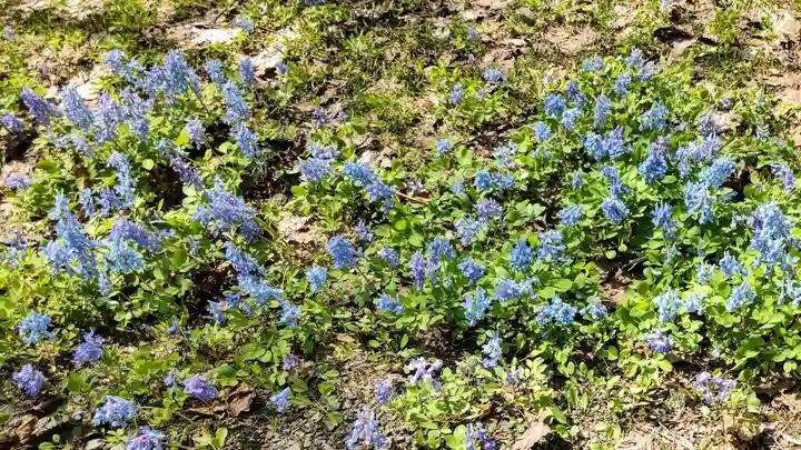 浦臼神社(北海道)