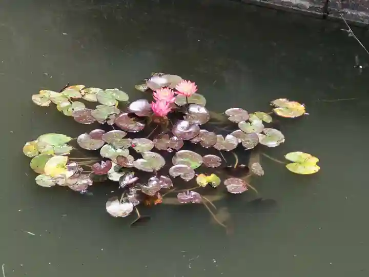市原稲荷神社(愛知県)