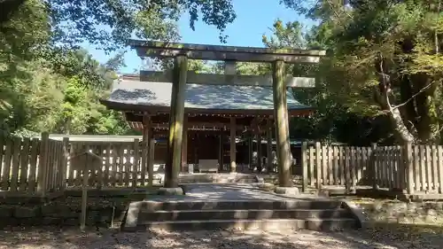 日前神宮・國懸神宮の鳥居