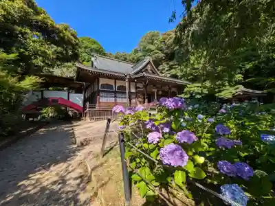 本土寺のその他建物