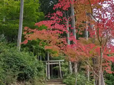 圓光寺(京都府)