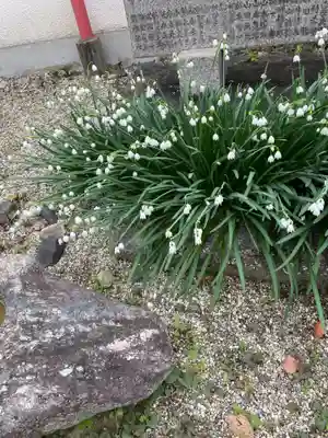 崇道天皇社(奈良県)