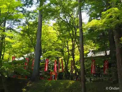 今熊野観音寺(京都府)