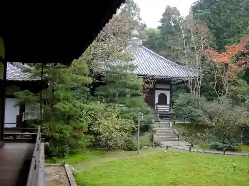 青蓮院門跡の庭園