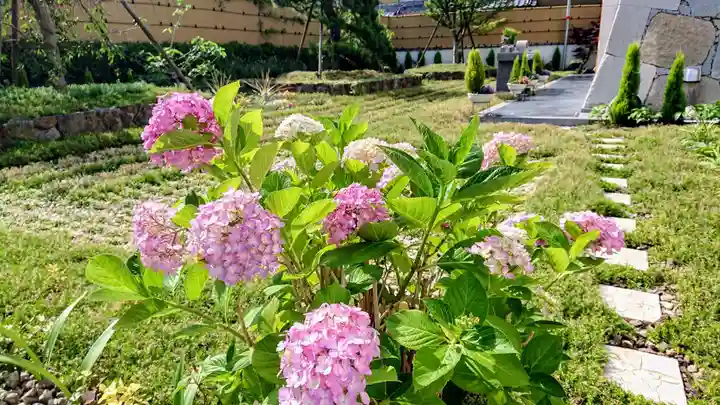 寿量山 速成寺の庭園