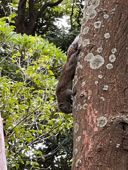 建長寺 半僧坊(神奈川県)