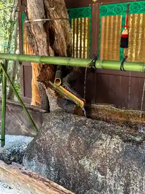 賀茂御祖神社（下鴨神社）(京都府)