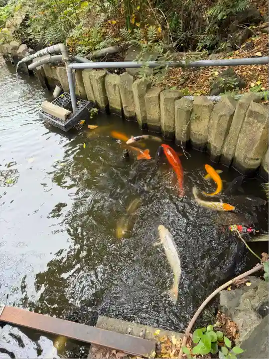 富岡八幡宮(東京都)