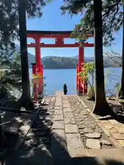 箱根神社の鳥居