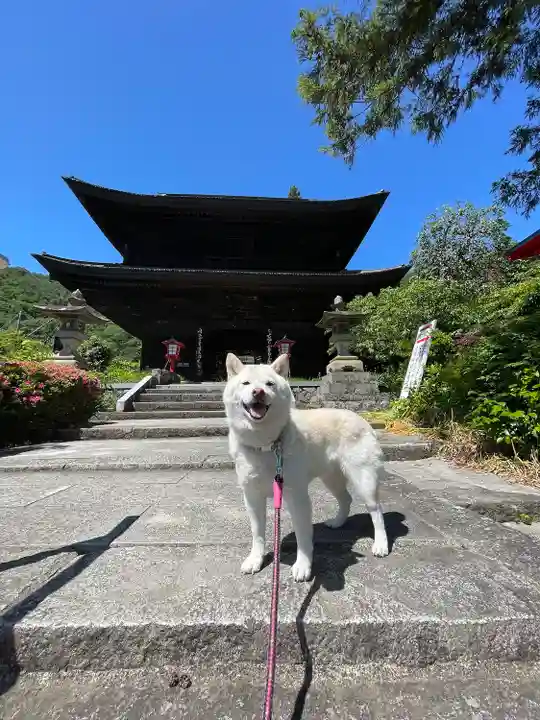 大善寺(山梨県)