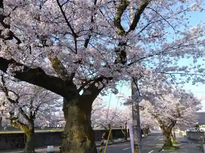  湊八幡神社(福井県)