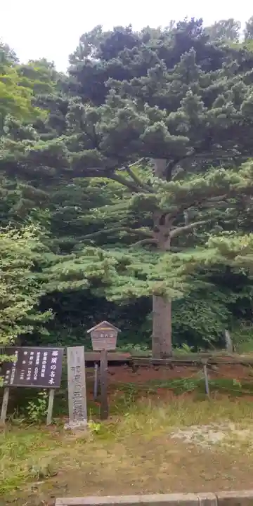 那須温泉神社(栃木県)