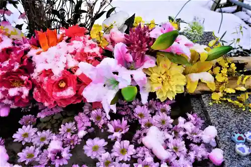 陽林寺(福島県)