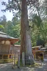 日枝神社(岐阜県)