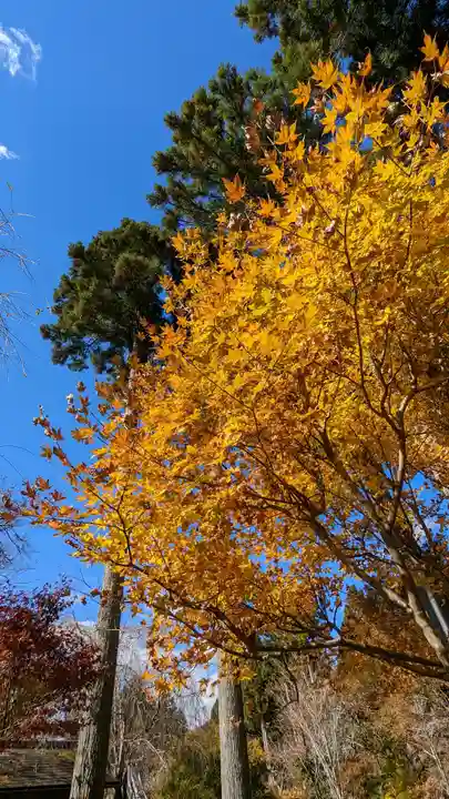 三千院門跡(京都府)