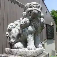 金刀比羅宮 天満天神宮の狛犬