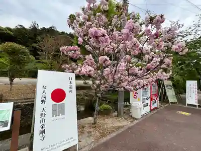 金剛寺(大阪府)