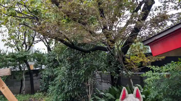 北原稲荷神社の自然