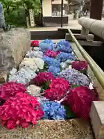 杭全神社(大阪府)