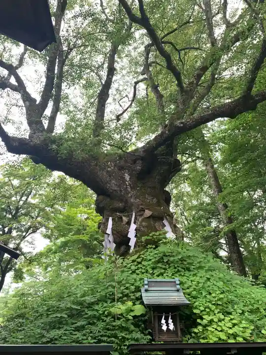 熊野皇大神社(長野県)