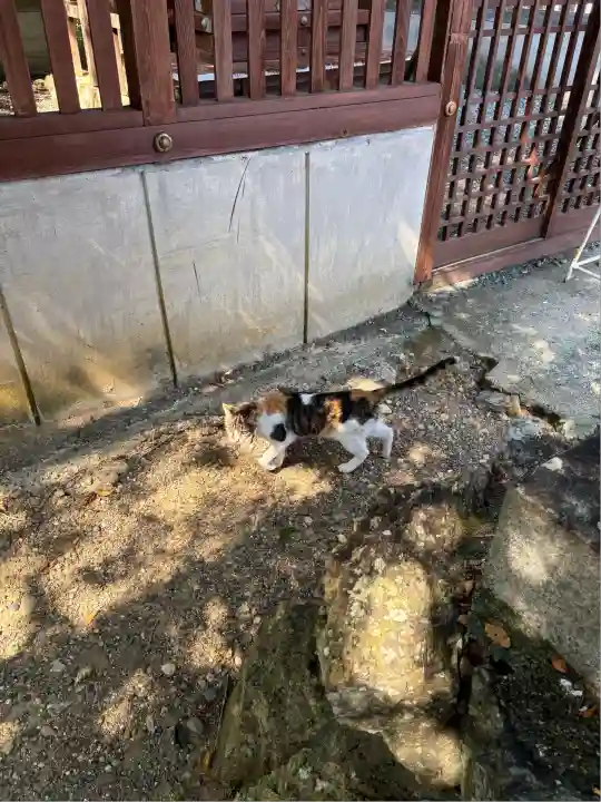 牟呂八幡宮(愛知県)