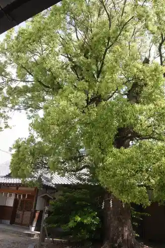 津島神社(奈良県)