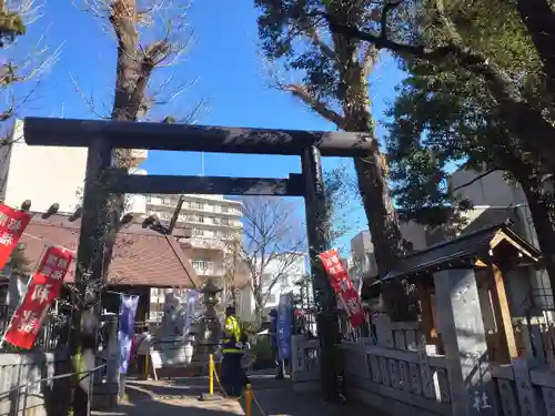 高円寺氷川神社の鳥居