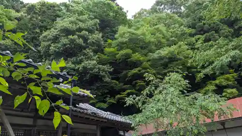 法嚴寺（法厳寺）(京都府)