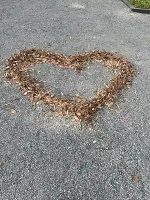 來宮神社(静岡県)