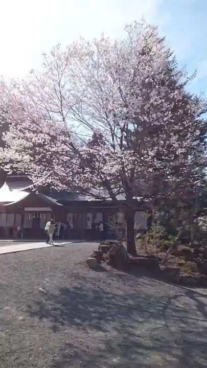 諏訪大社(長野県)