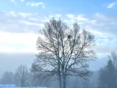 山家神社奥宮の自然