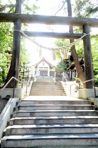 手稲神社の鳥居