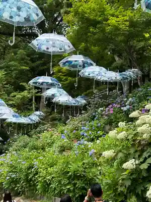 柳谷観音　楊谷寺(京都府)