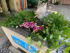 滑川神社 - 仕事と子どもの守り神の手水