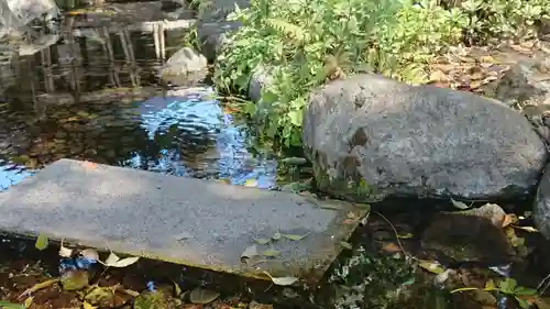 秩父神社の庭園