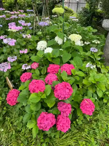 酒見神社(愛知県)