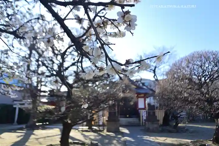 北野神社(東京都)