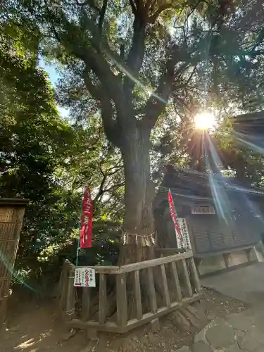 八百富神社(愛知県)