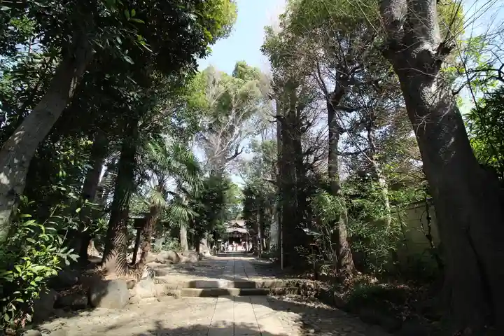 代々木八幡宮の景色