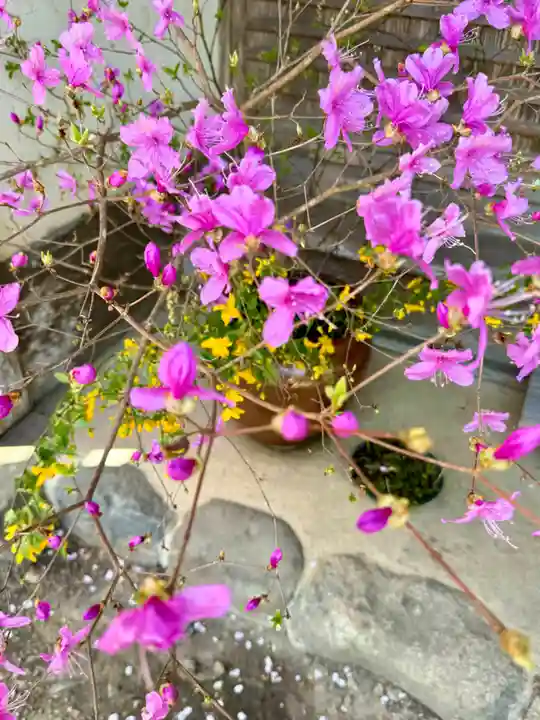 春日神社(京都府)