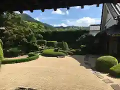 頼久寺の庭園