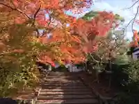 安楽寺のその他建物