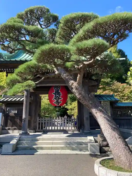 長谷寺の山門・神門