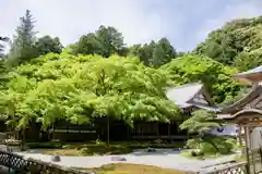 千如寺大悲王院の庭園