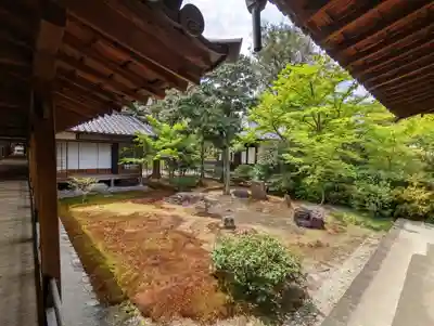 建仁寺（建仁禅寺）(京都府)