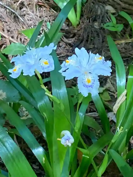 鳳来山東照宮(愛知県)